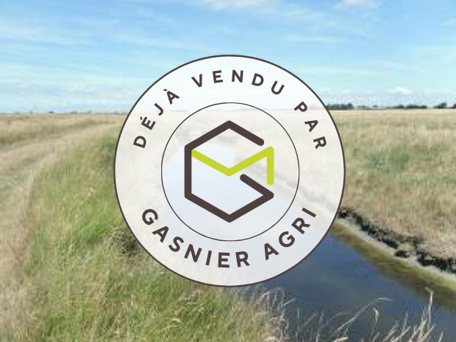 Agence immobilière de RENNES IMMOBILIER - VHL AGRI