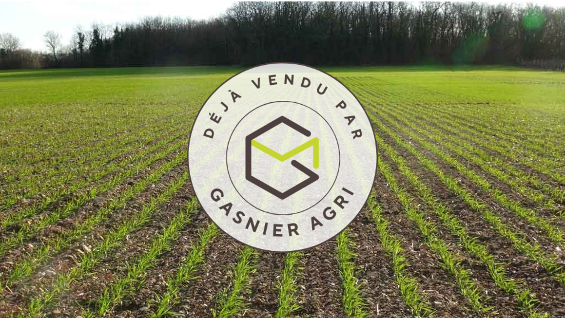 Agence immobilière de RENNES IMMOBILIER - VHL AGRI