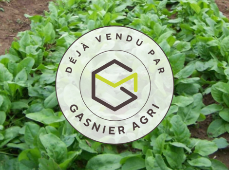 Agence immobilière de RENNES IMMOBILIER - VHL AGRI