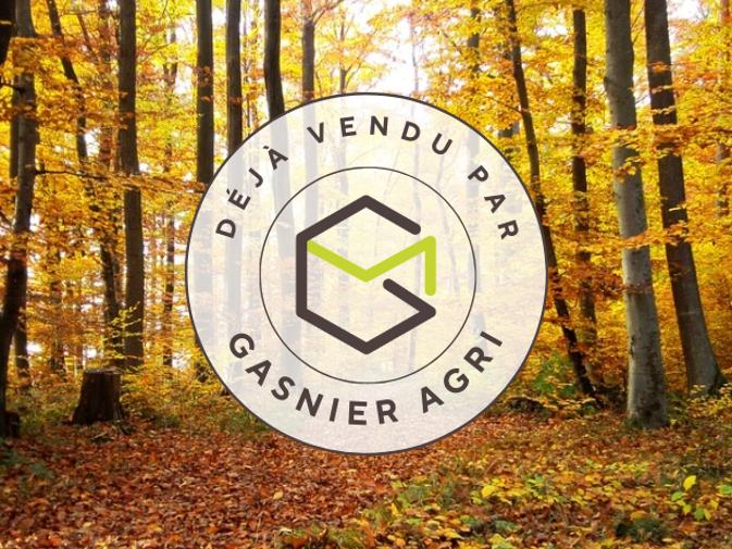 Agence immobilière de RENNES IMMOBILIER - VHL AGRI