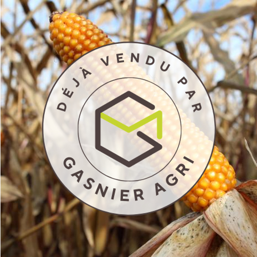 Agence immobilière de RENNES IMMOBILIER - VHL AGRI