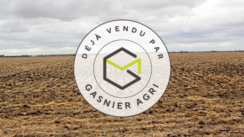 Agence immobilière de RENNES IMMOBILIER - VHL AGRI