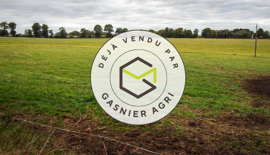 Vente de foncier à un investisseur