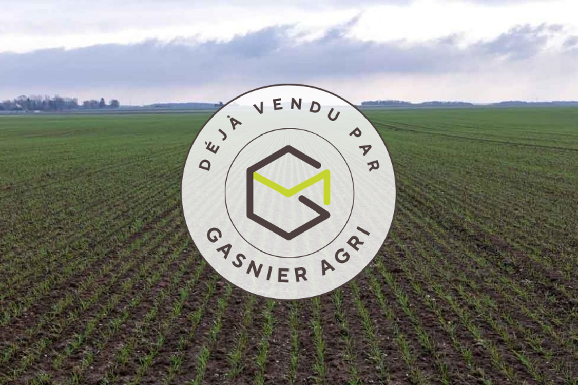 Agence immobilière de RENNES IMMOBILIER - VHL AGRI