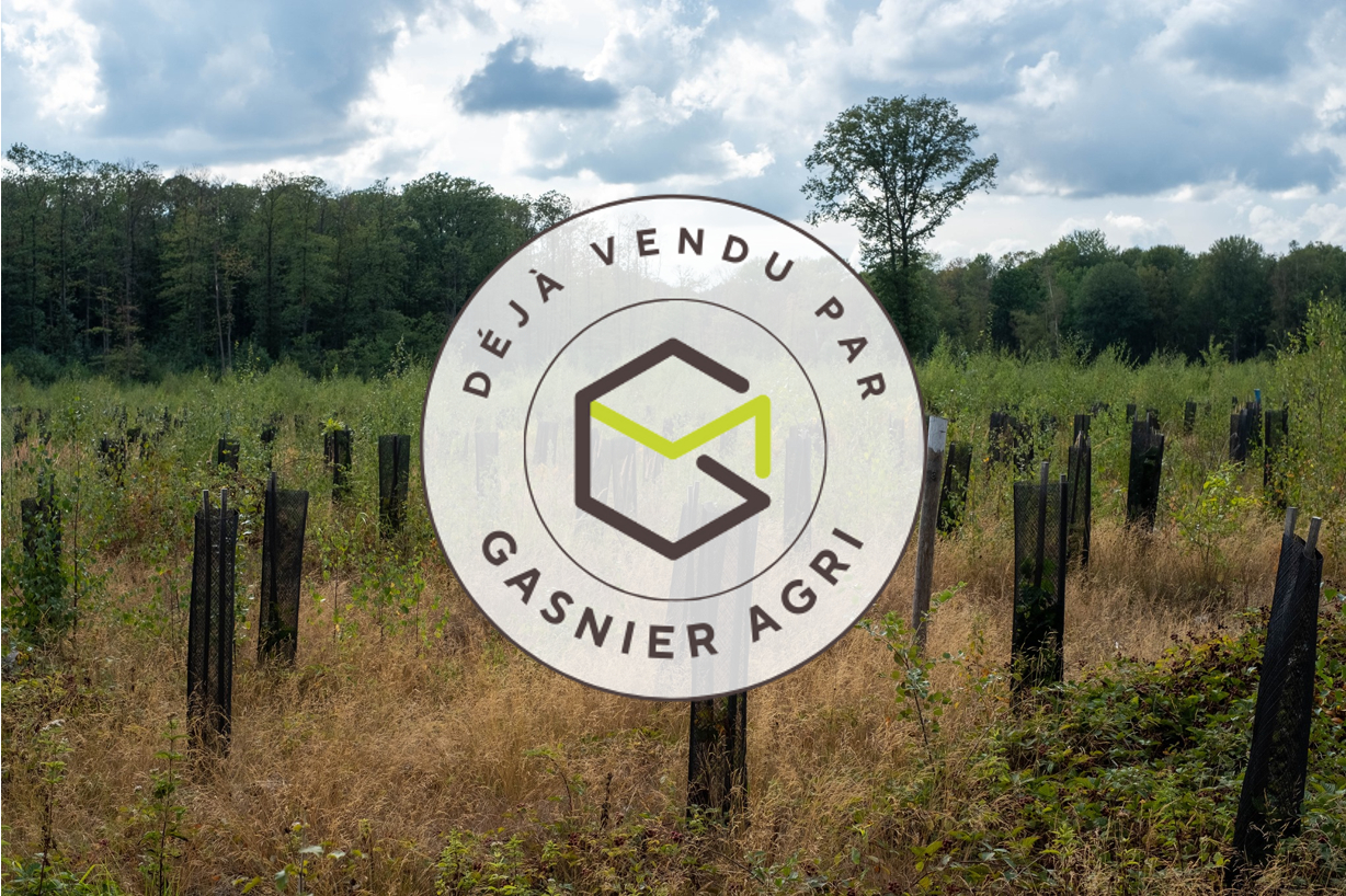 Agence immobilière de RENNES IMMOBILIER - VHL AGRI