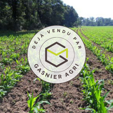 Agence immobilière de RENNES IMMOBILIER - VHL AGRI