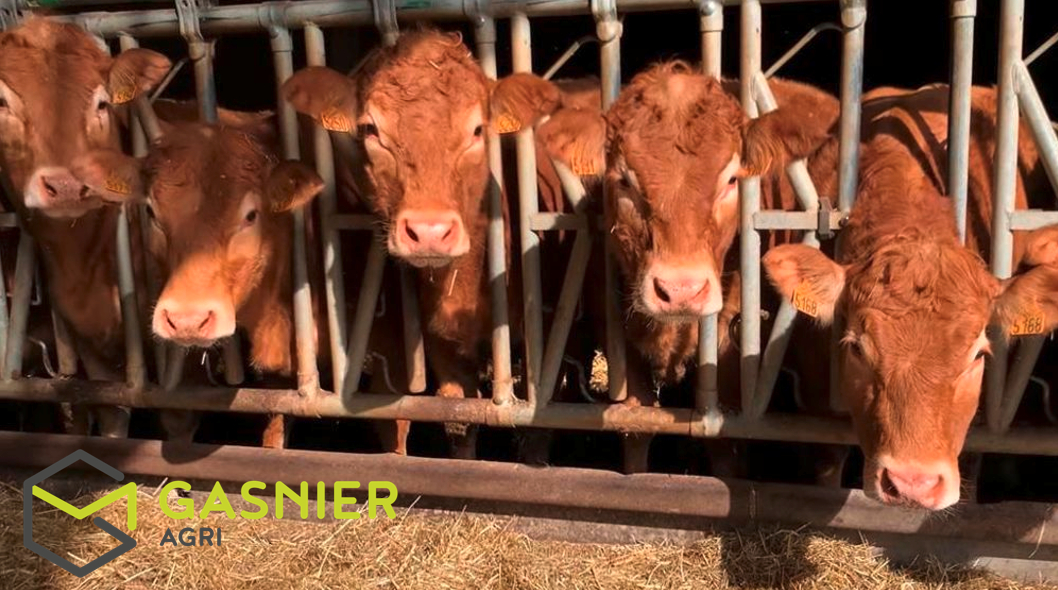 Agence immobilière de RENNES IMMOBILIER - VHL AGRI