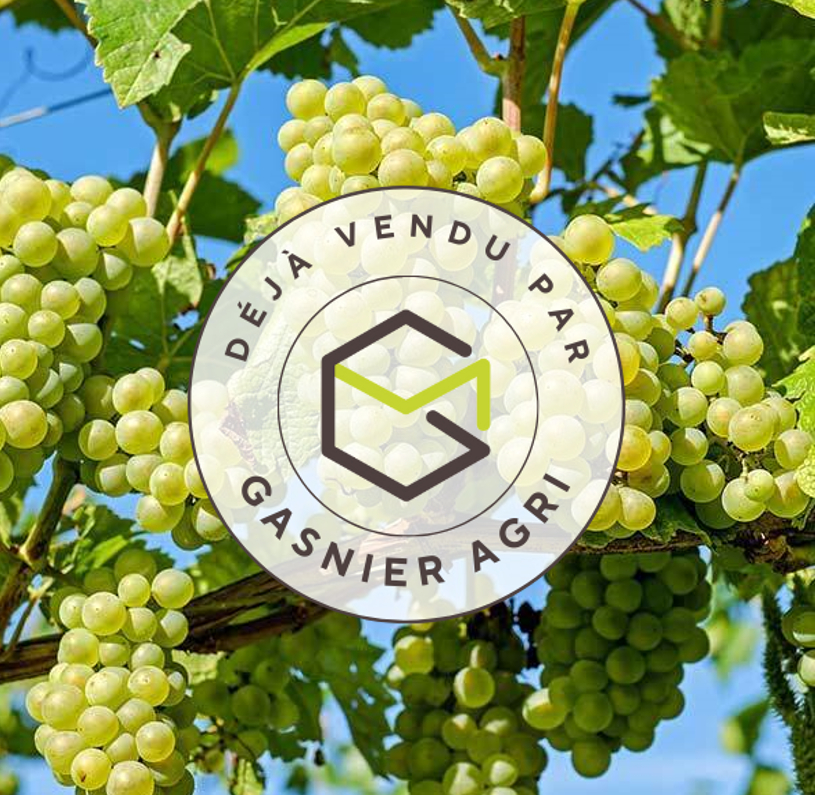 Agence immobilière de RENNES IMMOBILIER - VHL AGRI