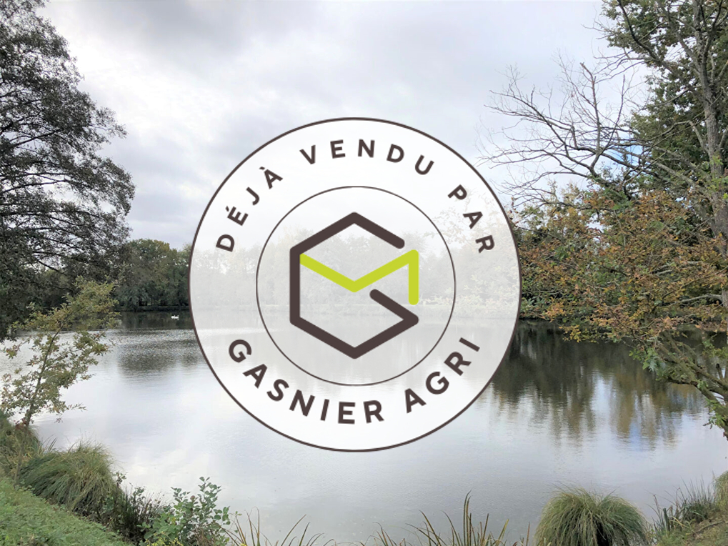 Photo Terrain de loisirs image 1/1