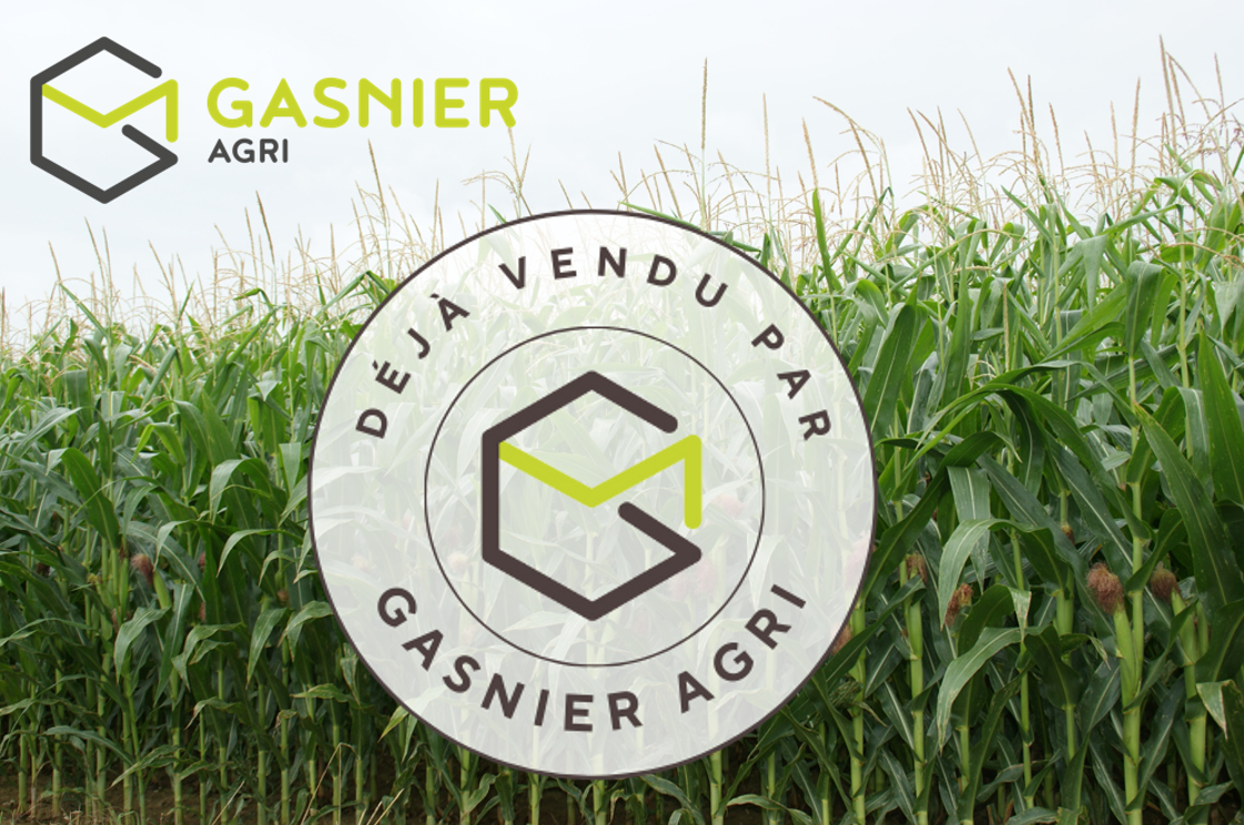 INVESTISSEMENT FONCIER AGRICOLE - MORBIHAN (56)