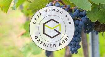 Photo VENDU - Vignes Champenoises image 1/1