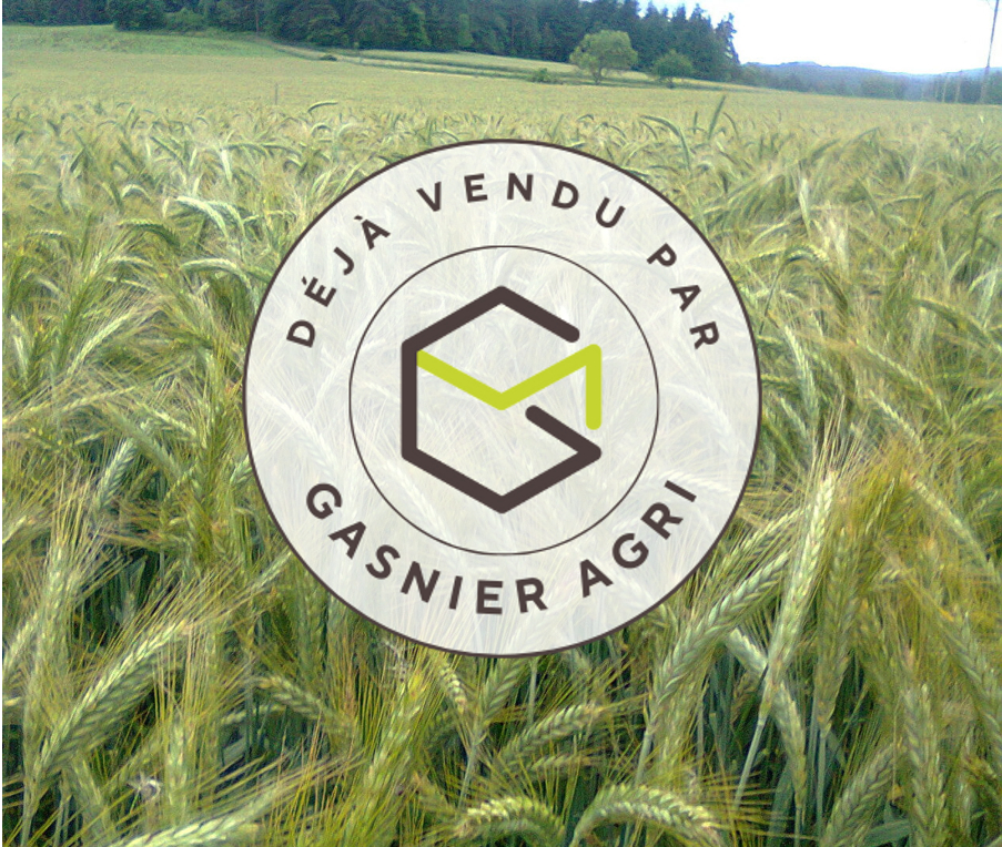 Agence immobilière de RENNES IMMOBILIER - VHL AGRI