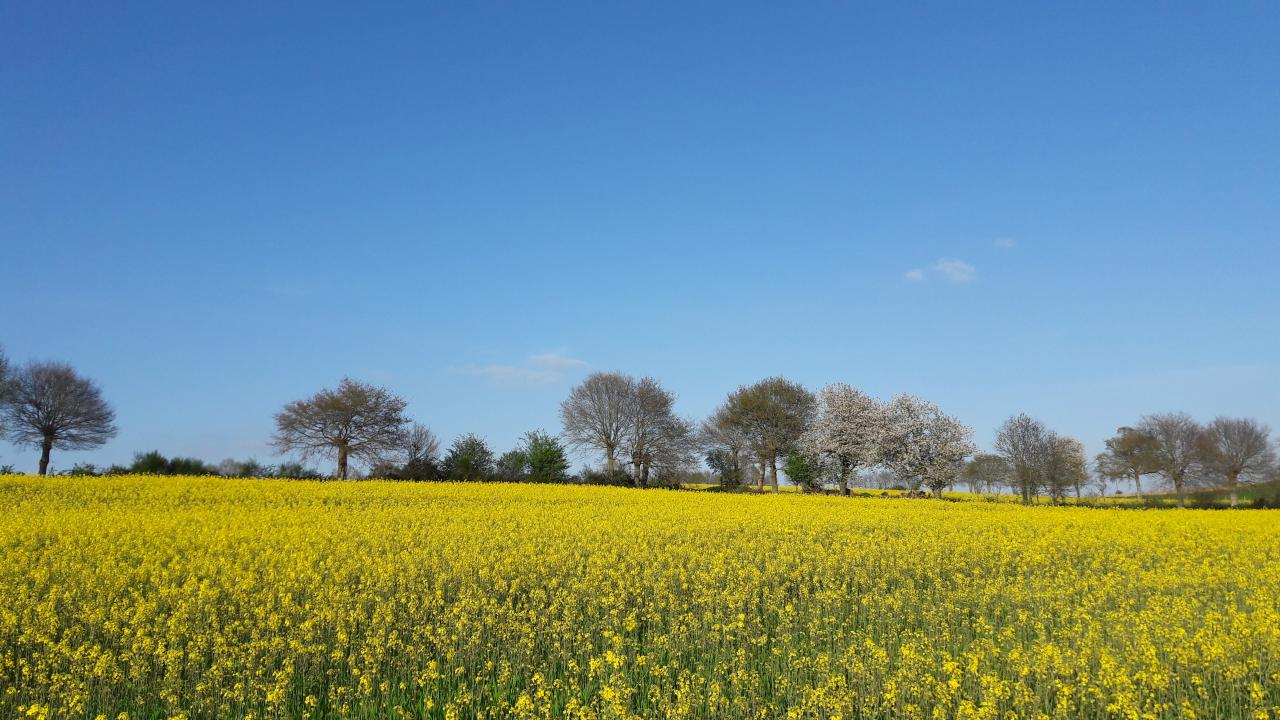 Agence immobilière de RENNES IMMOBILIER - VHL AGRI