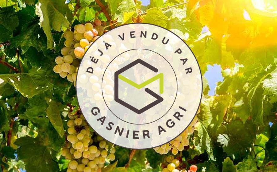 Agence immobilière de RENNES IMMOBILIER - VHL AGRI