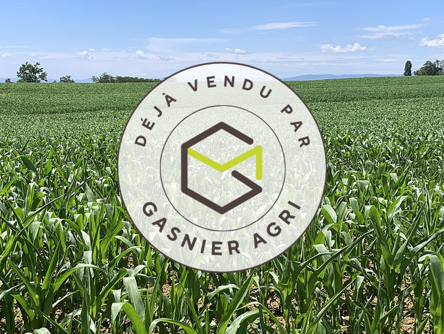 Photo Investissement 37ha à l'Est de Château-Gontier (53). image 1/1