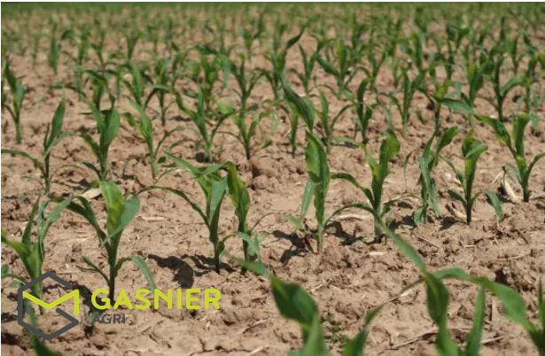 Agence immobilière de RENNES IMMOBILIER - VHL AGRI