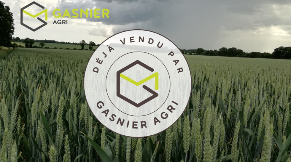 Agence immobilière de RENNES IMMOBILIER - VHL AGRI