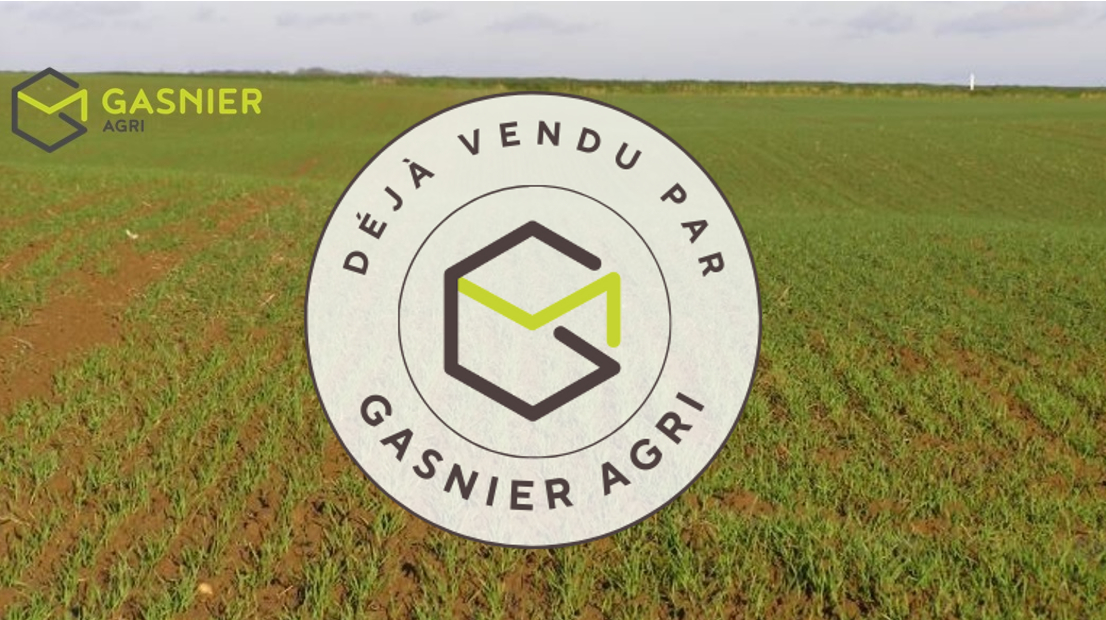 Agence immobilière de RENNES IMMOBILIER - VHL AGRI
