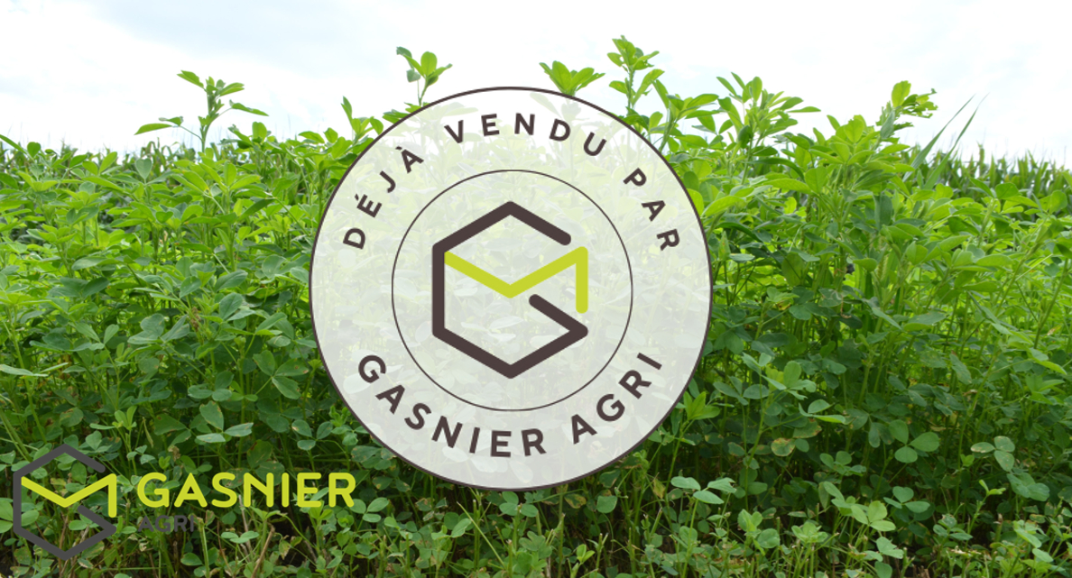 Agence immobilière de RENNES IMMOBILIER - VHL AGRI