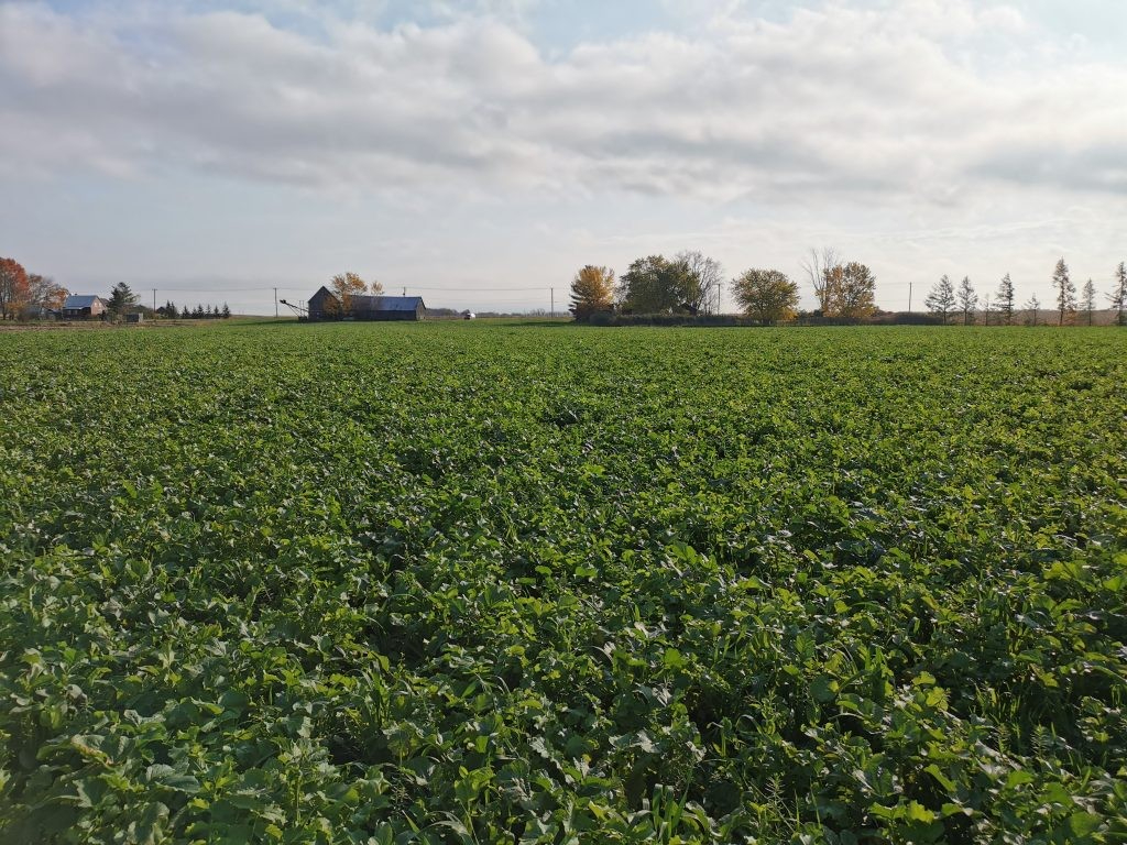 Agence immobilière de RENNES IMMOBILIER - VHL AGRI