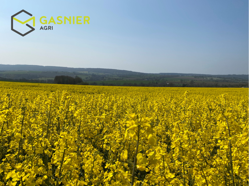 Agence immobilière de RENNES IMMOBILIER - VHL AGRI