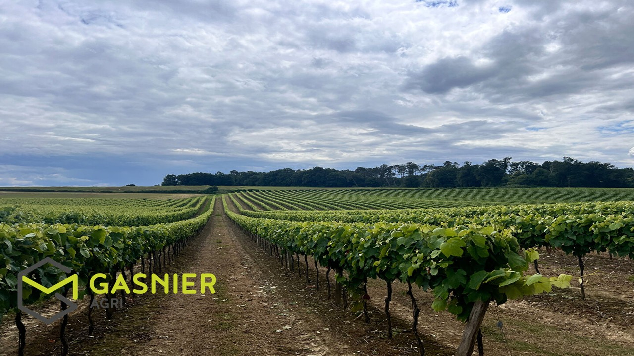 Agence immobilière de RENNES IMMOBILIER - VHL AGRI