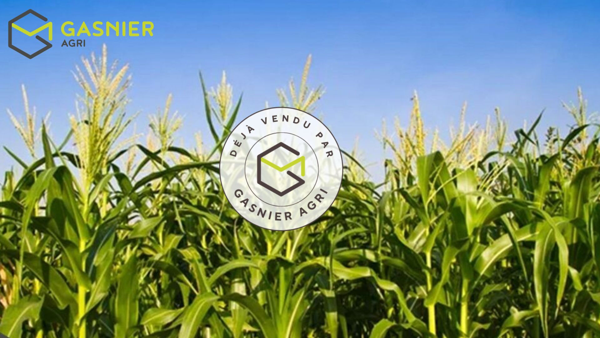 Agence immobilière de RENNES IMMOBILIER - VHL AGRI