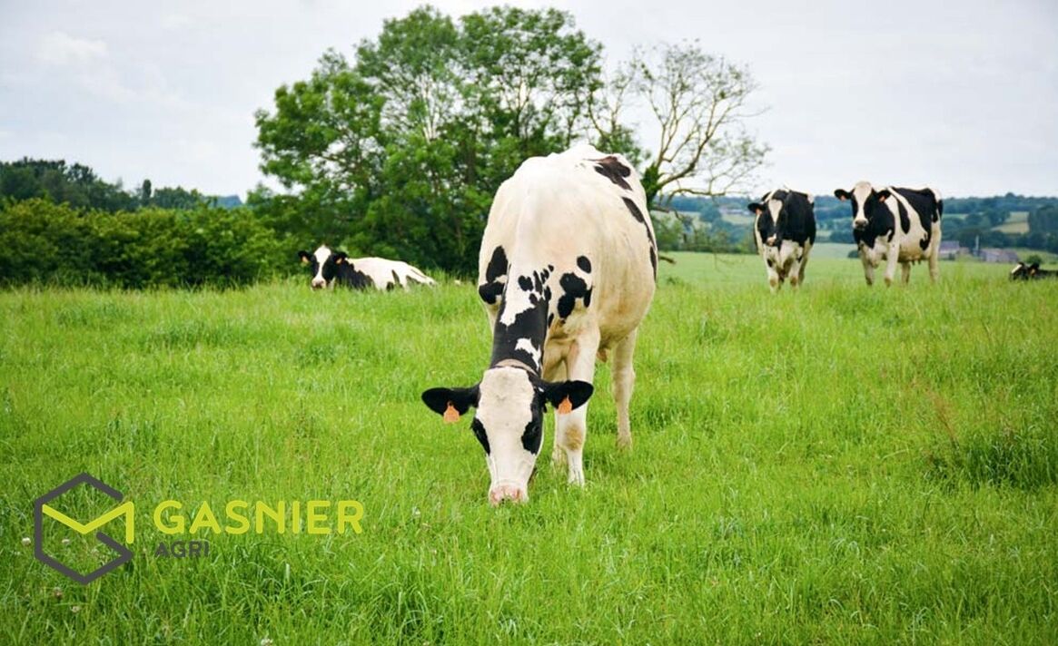 Agence immobilière de RENNES IMMOBILIER - VHL AGRI