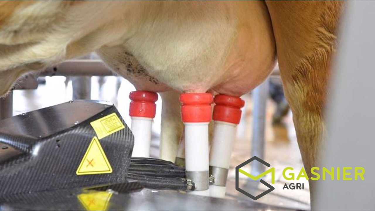 Photo Ouest Mayenne (53) - 520000l. sur 107ha. image 1/1