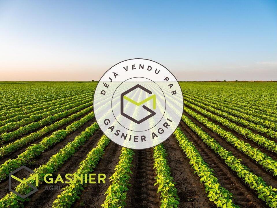 Agence immobilière de RENNES IMMOBILIER