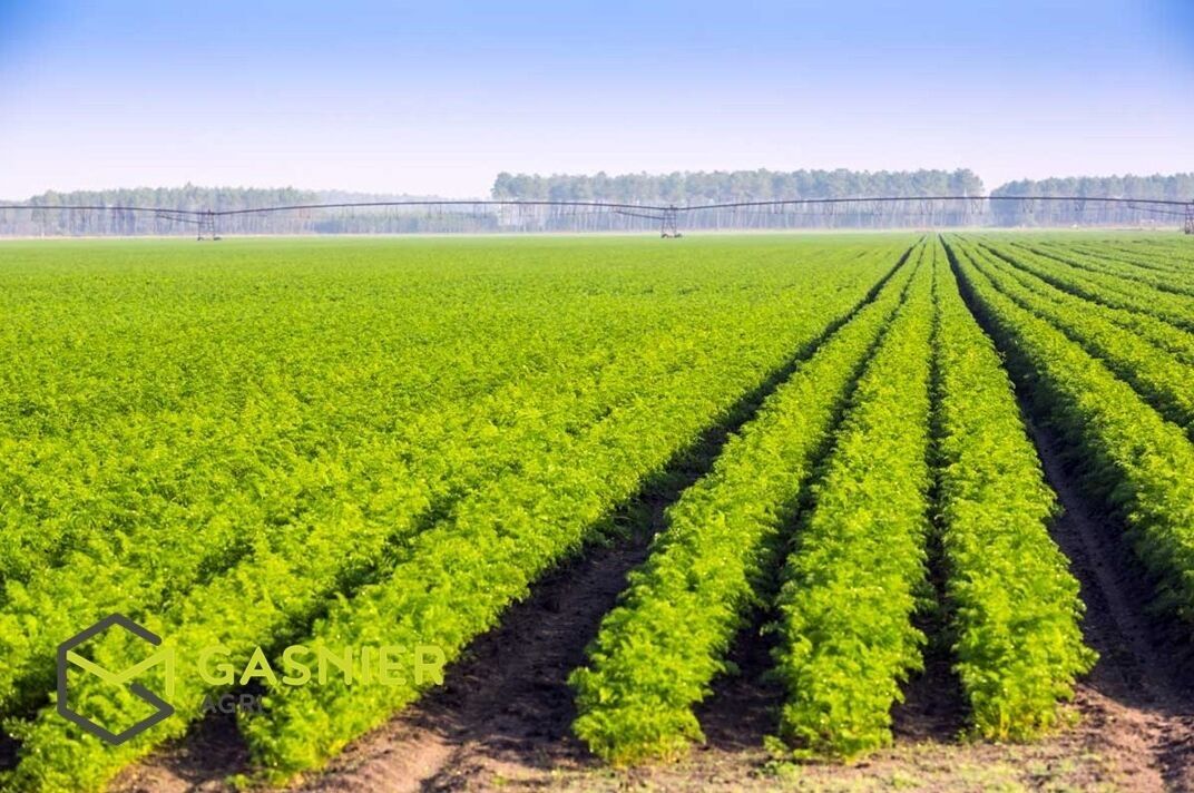 Agence immobilière de RENNES IMMOBILIER - VHL AGRI