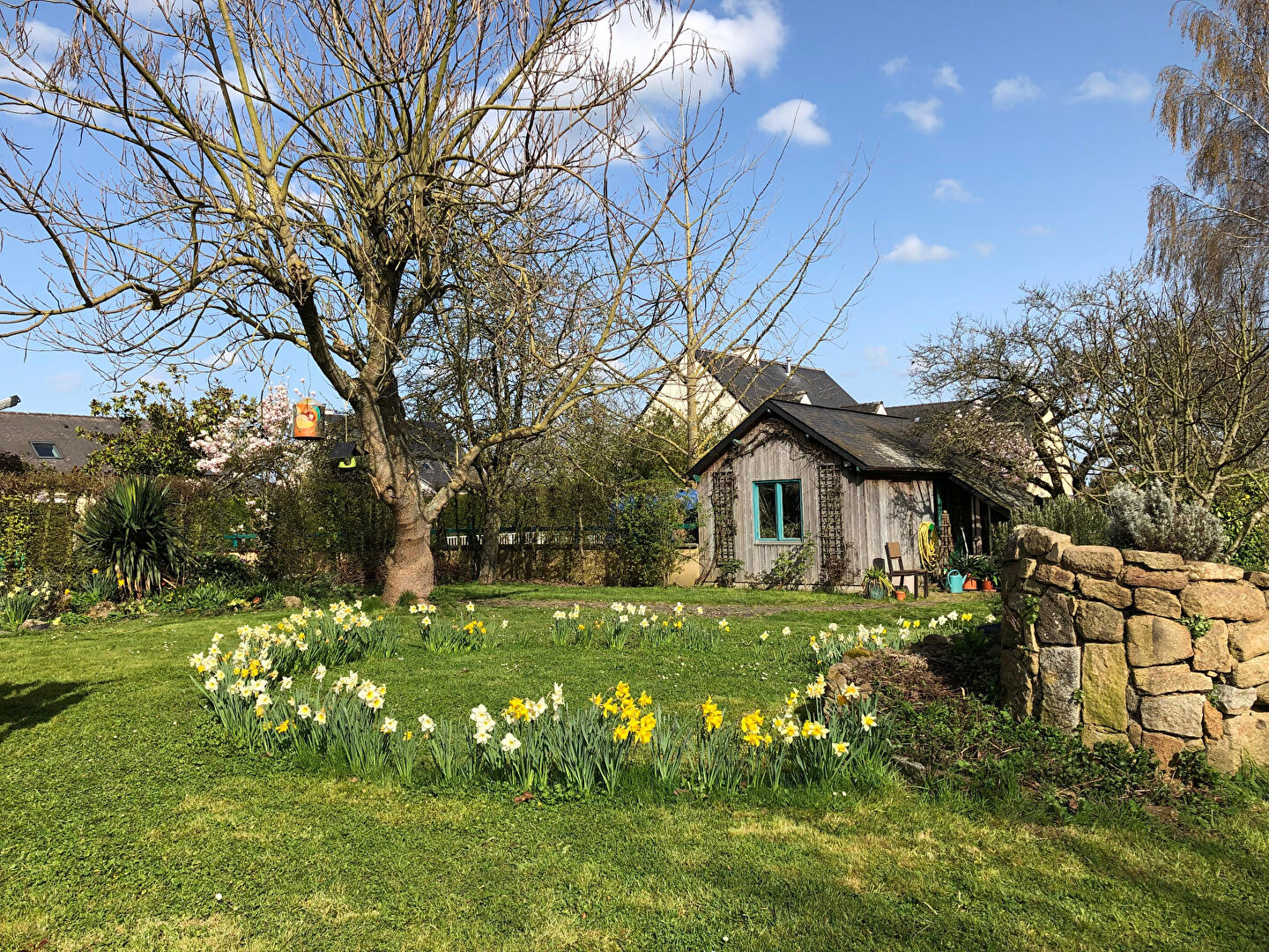 Photo BELLE PROPRIETE 9 PIECES + TERRAIN DIVISIBLE image 4/6