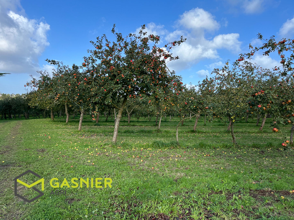 Agence immobilière de RENNES IMMOBILIER - VHL AGRI