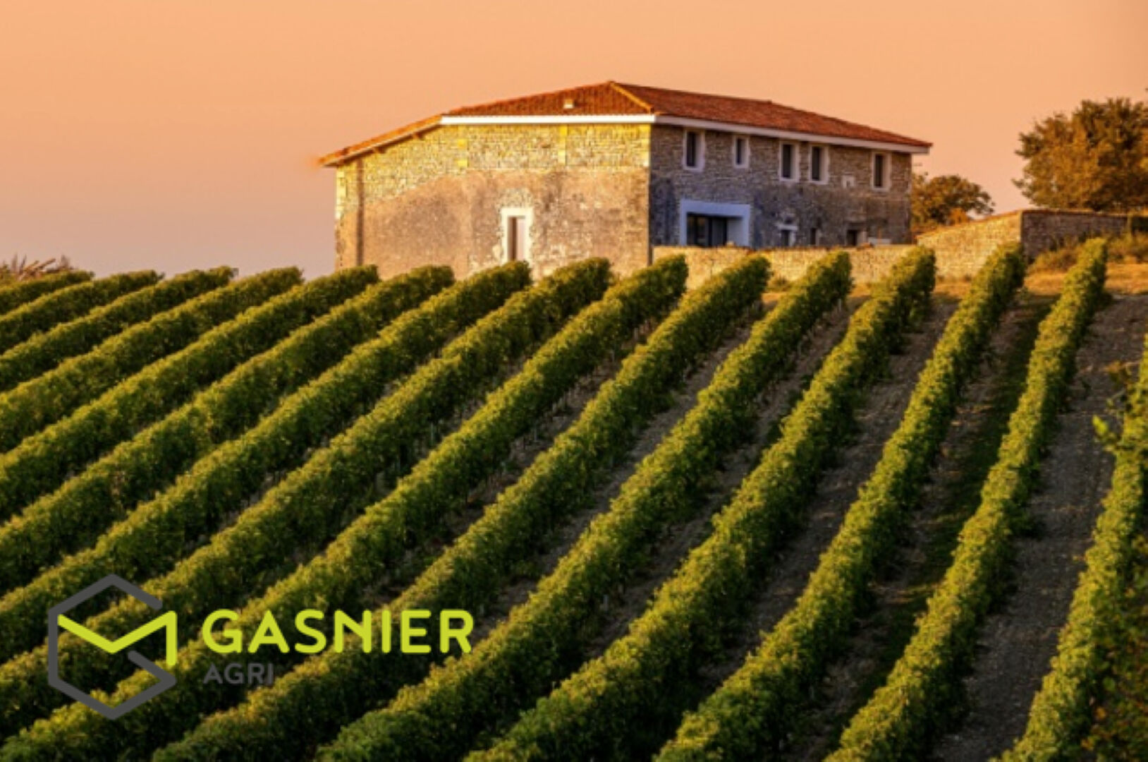 France- Recherche domaine viticole