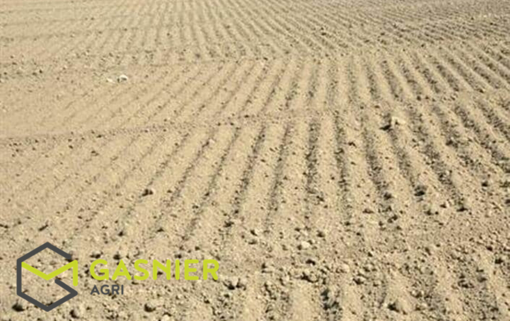 Investissement 37ha - Sud Gençay (86).