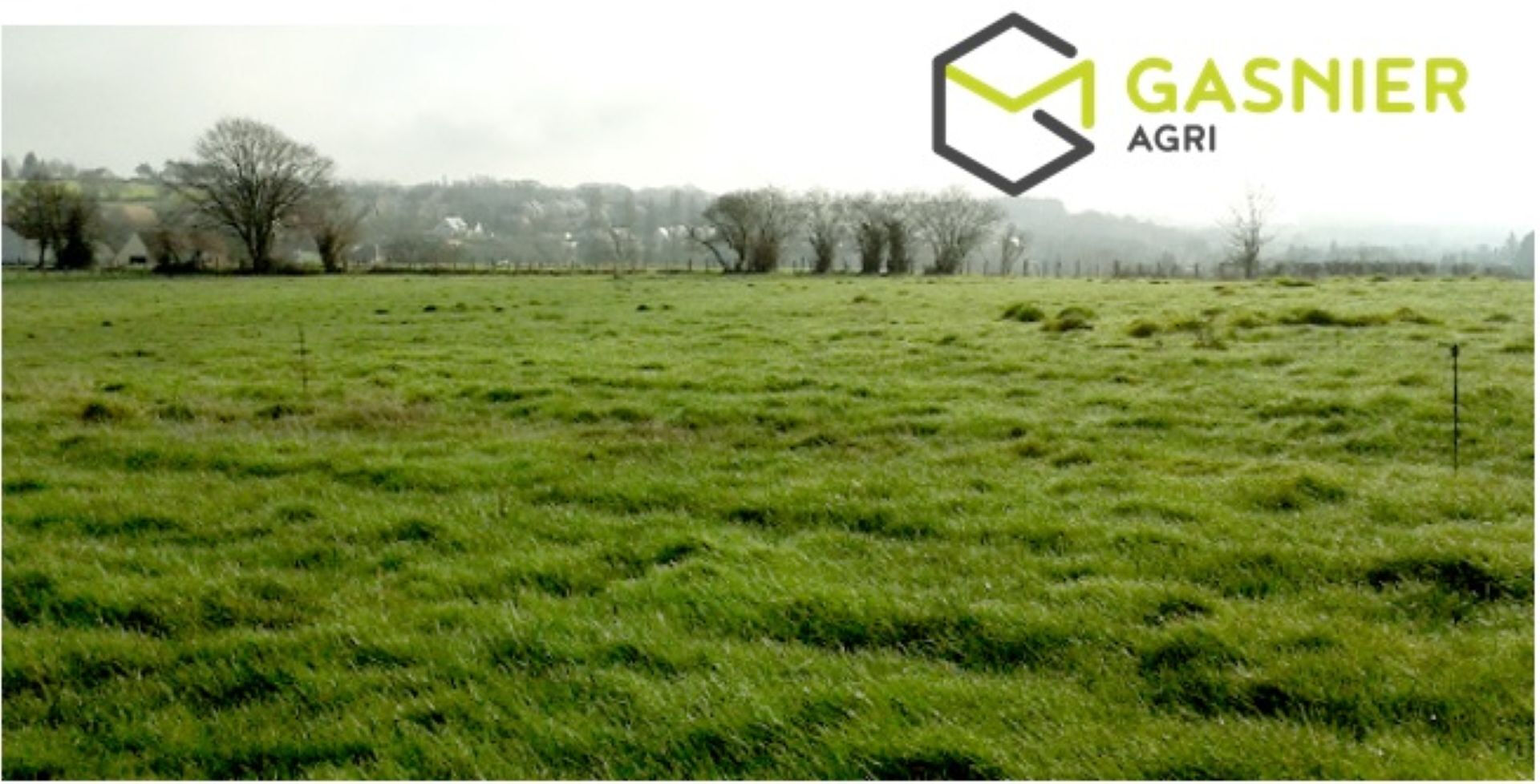 Sud ST QUENTIN (02) - 15ha prairie