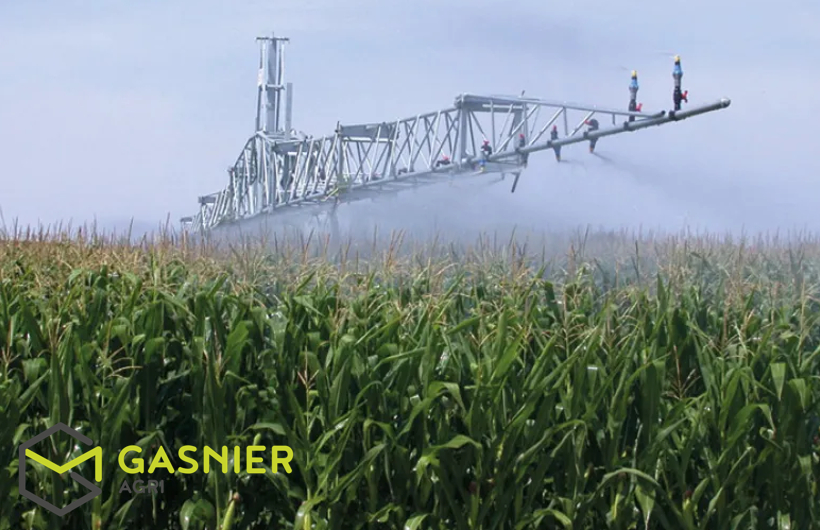 Sud-Est NOGARO (32) - 96ha en grande culture et 12ha en viticulture.