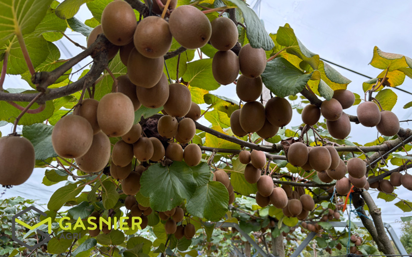 Agence immobilière de RENNES IMMOBILIER - VHL AGRI