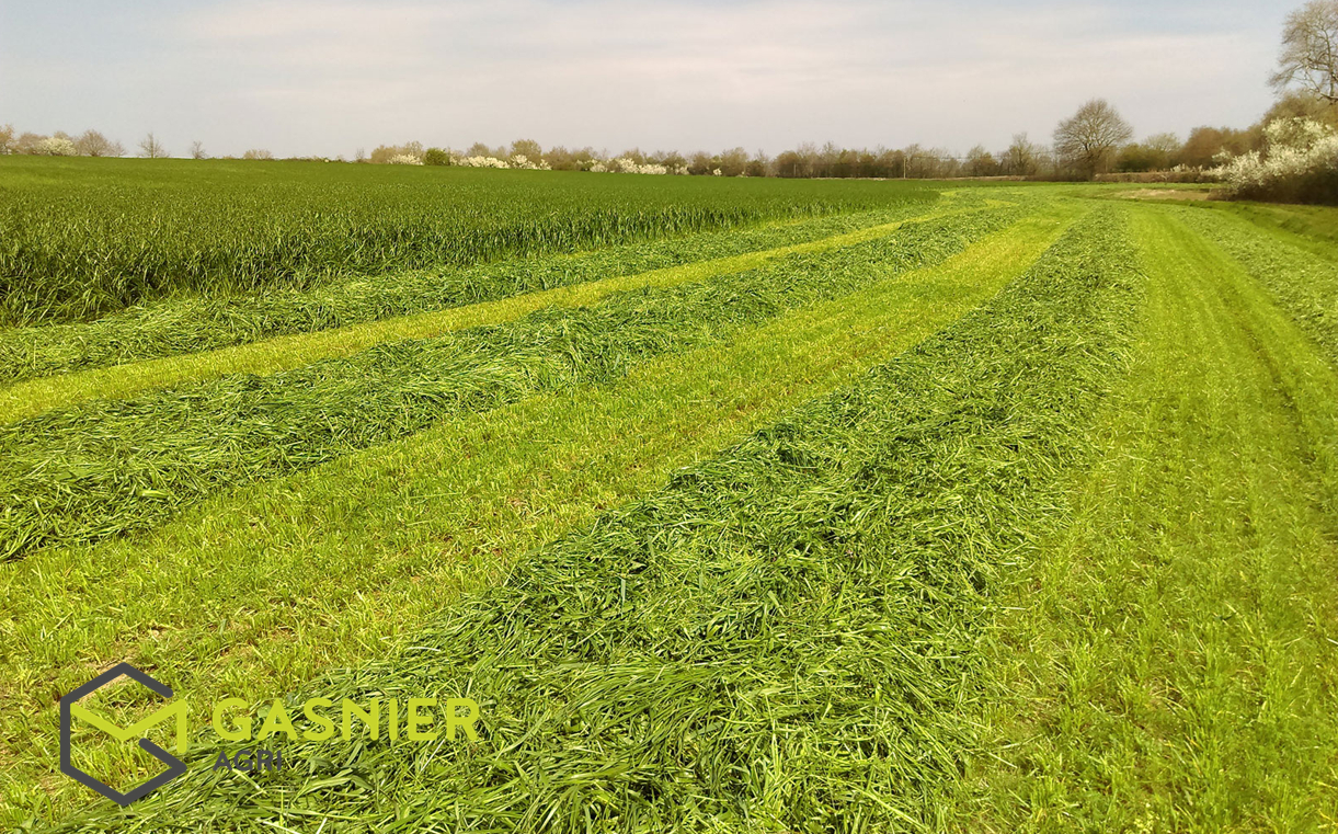 Agence immobilière de RENNES IMMOBILIER - VHL AGRI