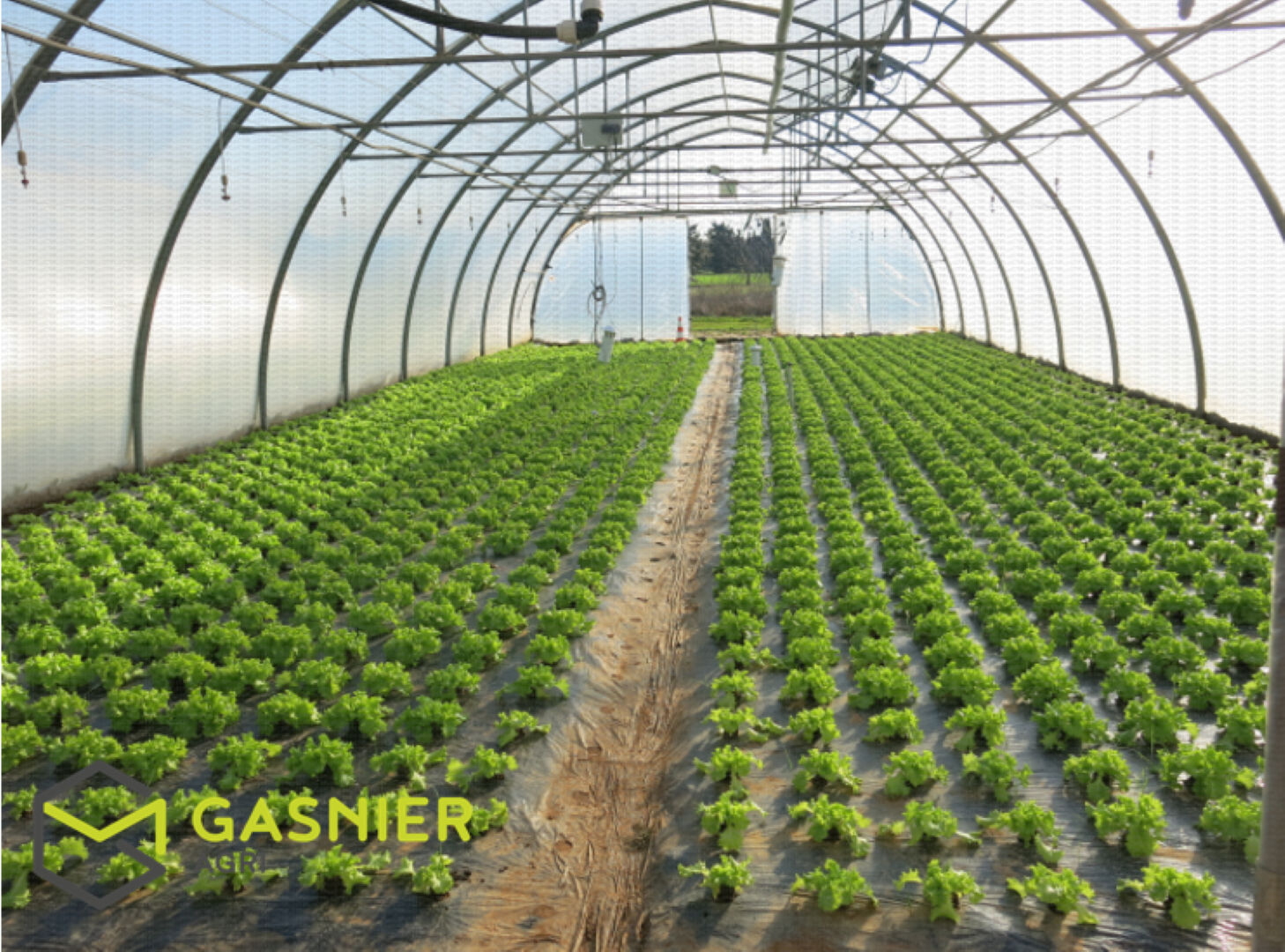 Agence immobilière de RENNES IMMOBILIER - VHL AGRI