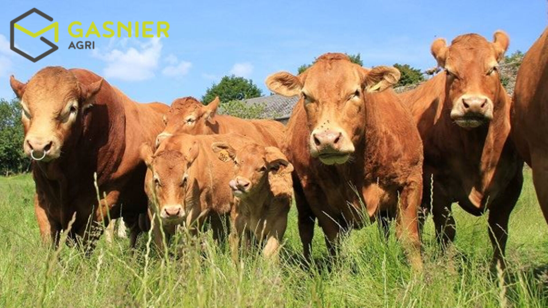 Agence immobilière de RENNES IMMOBILIER - VHL AGRI