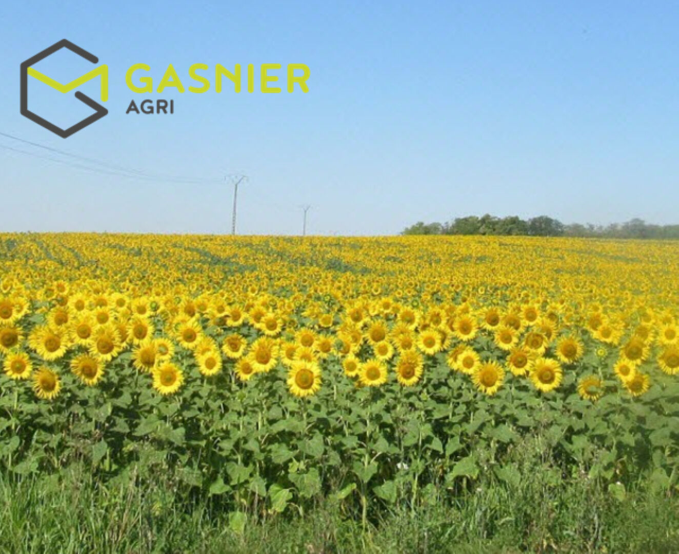 Agence immobilière de RENNES IMMOBILIER - VHL AGRI