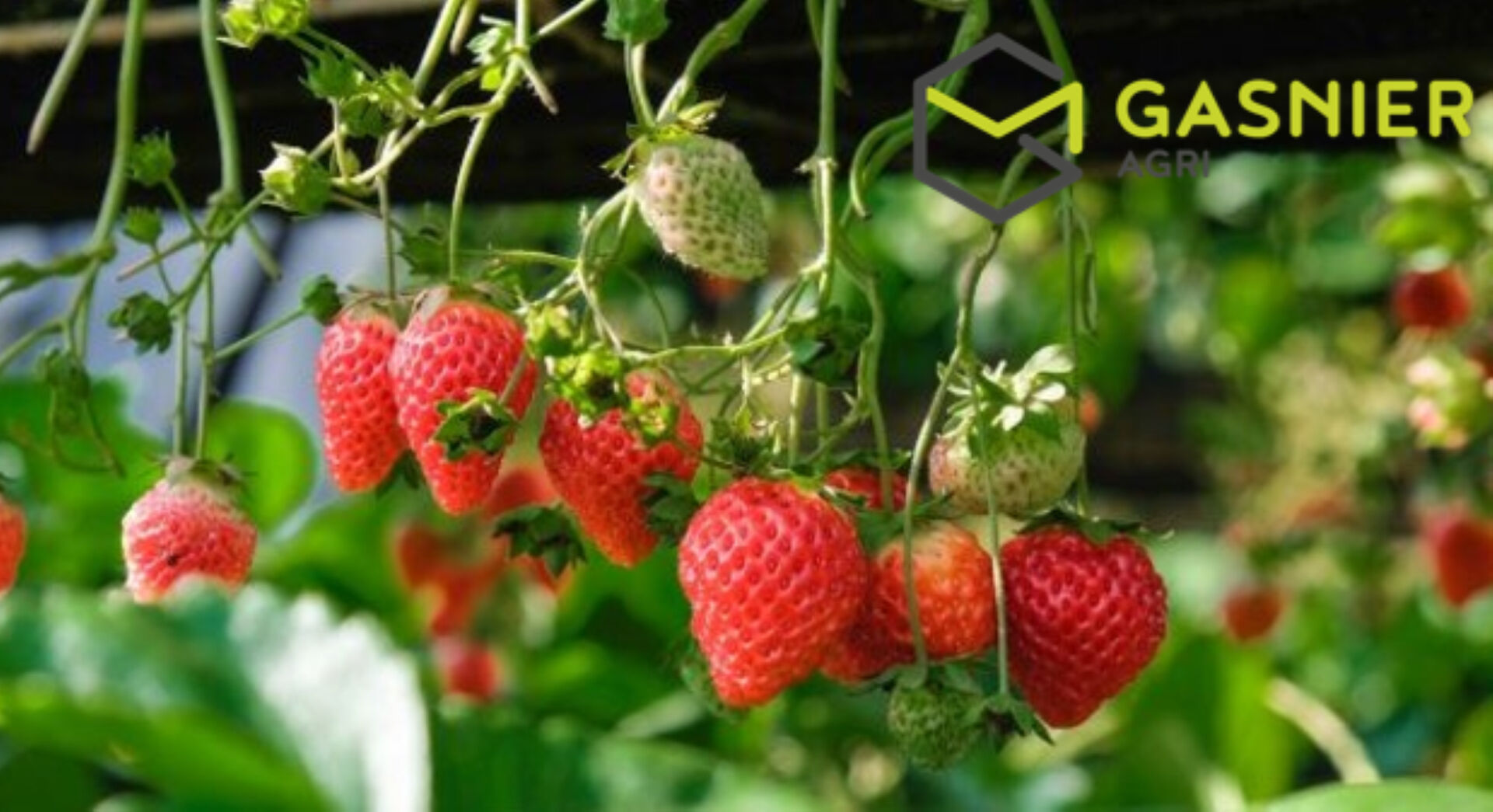 Agence immobilière de RENNES IMMOBILIER - VHL AGRI