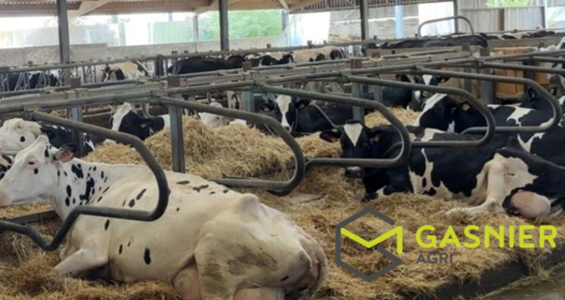 Agence immobilière de RENNES IMMOBILIER - VHL AGRI