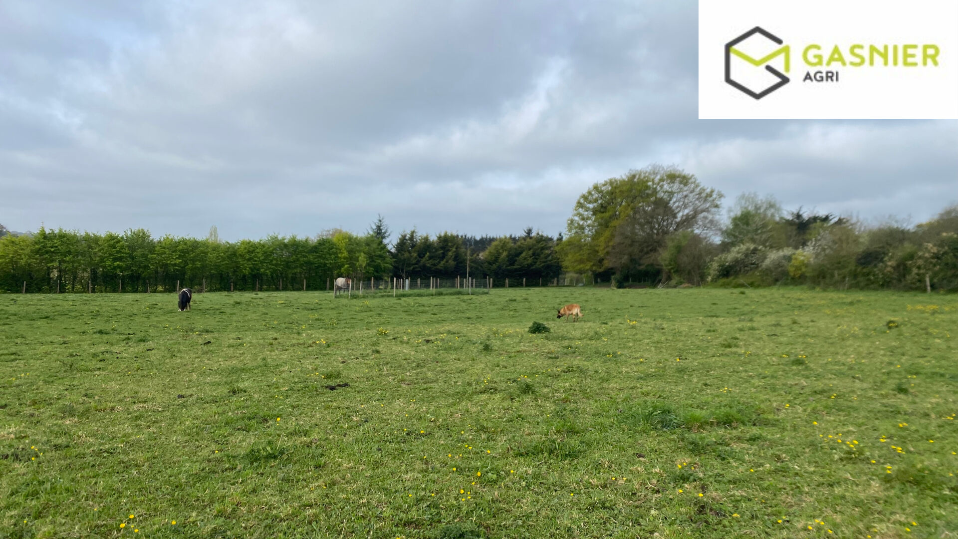 Agence immobilière de RENNES IMMOBILIER - VHL AGRI