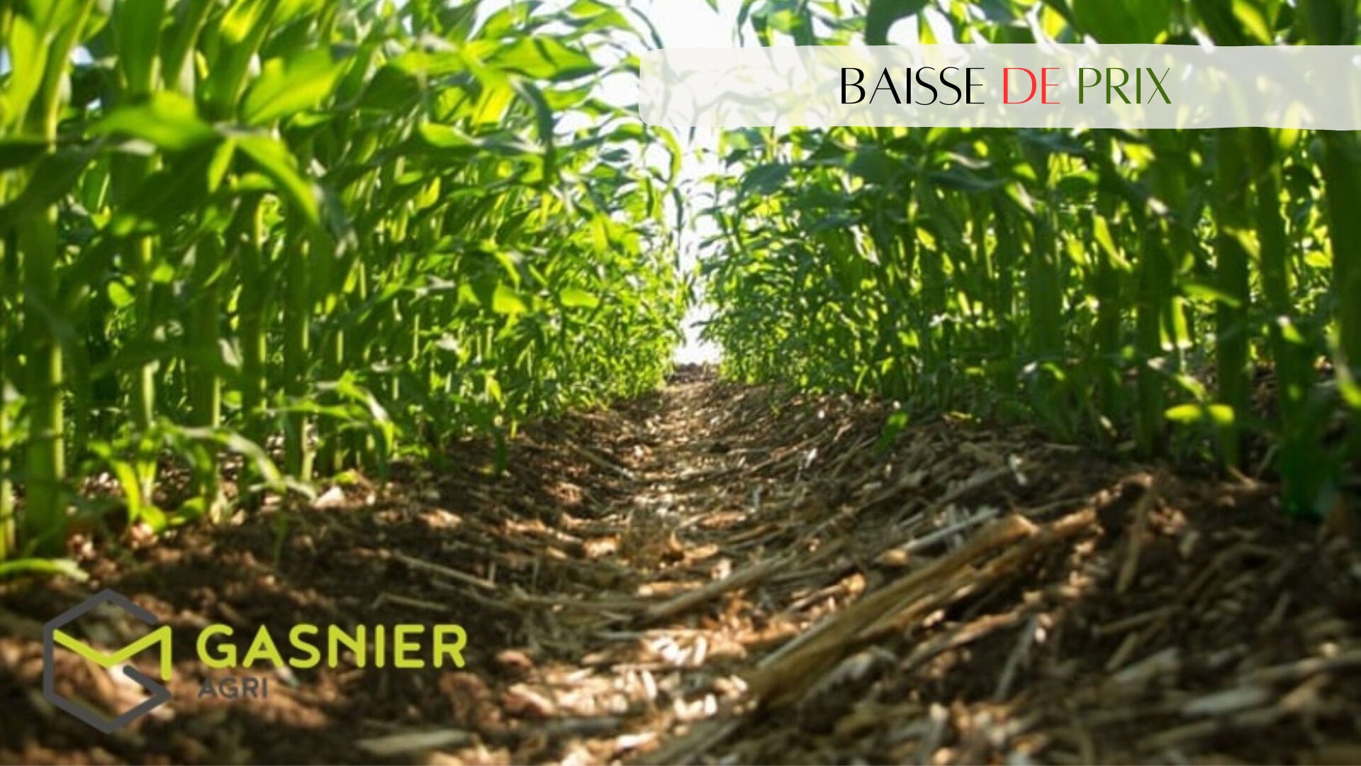 Agence immobilière de RENNES IMMOBILIER - VHL AGRI