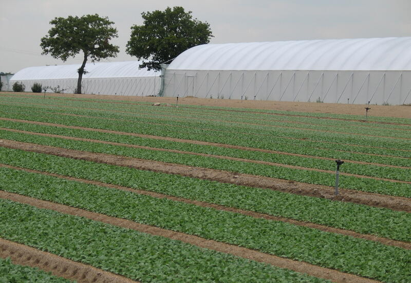 Agence immobilière de RENNES IMMOBILIER - VHL AGRI
