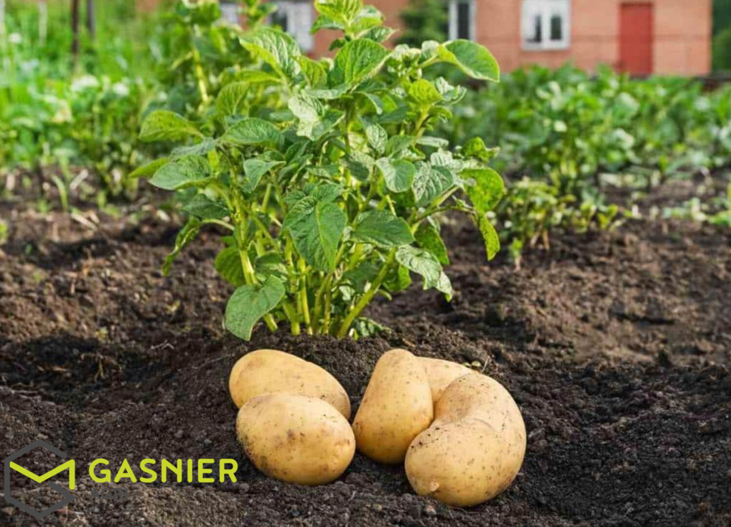 Agence immobilière de RENNES IMMOBILIER - VHL AGRI