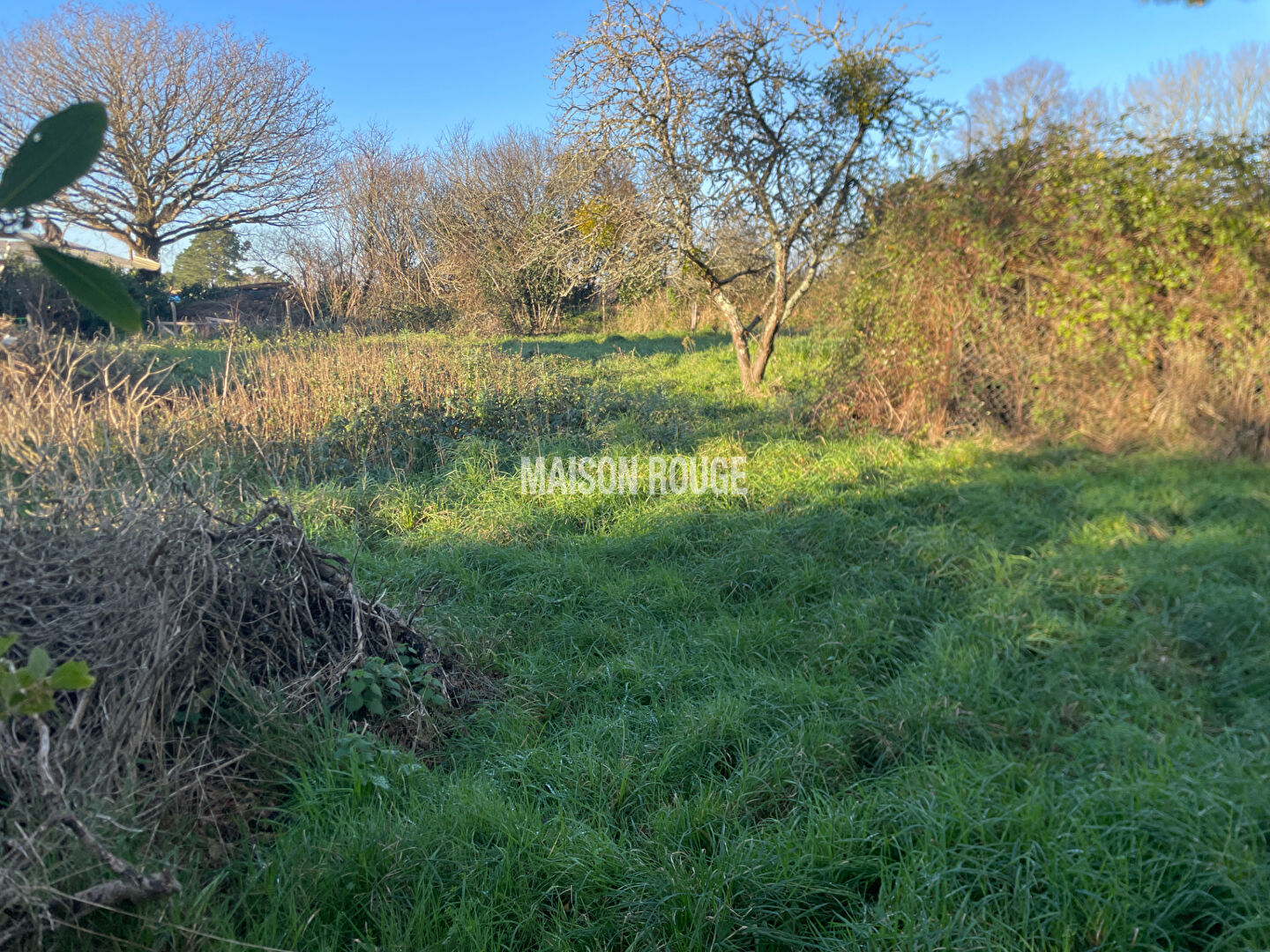 Photo SARZEAU - Terrain constructible de 1 033 m² image 2/3