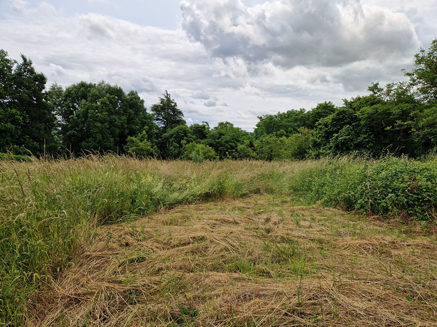 Photo Maison Chatillon Sur Cher image 3/6